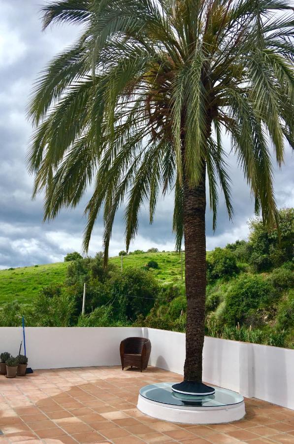 Habitación Doble con terraza