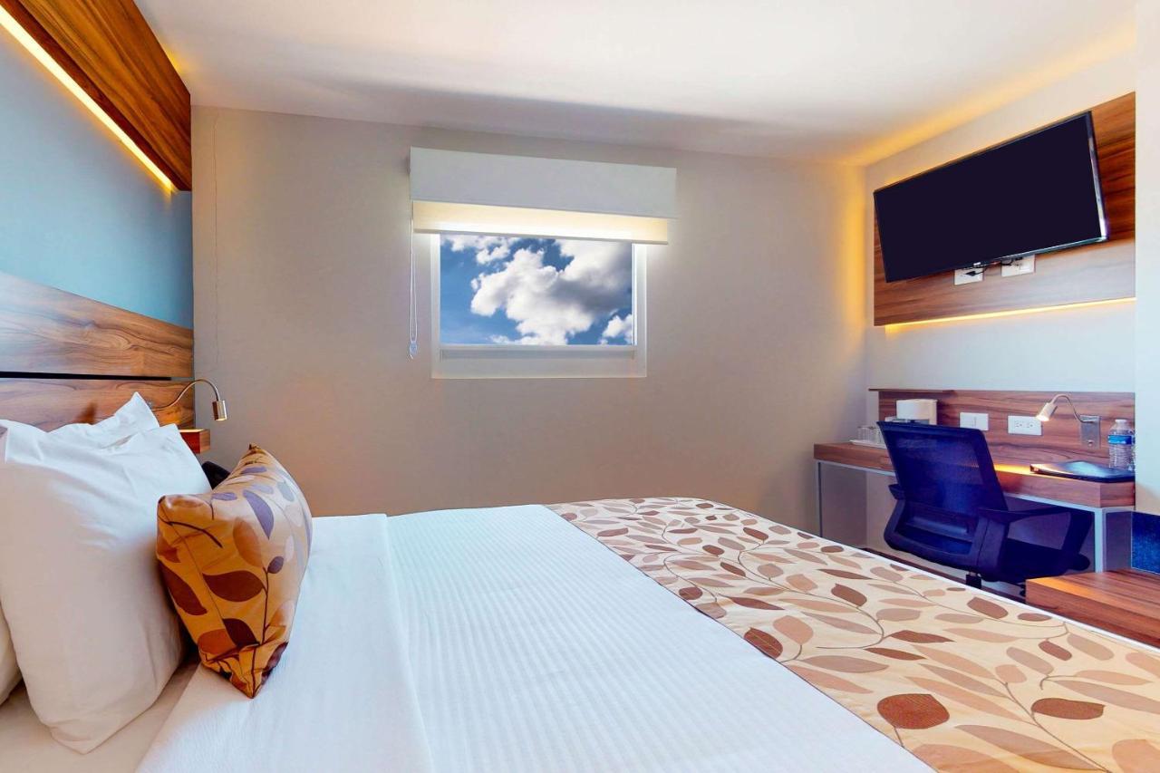Habitación - No fumadores - Cama grande