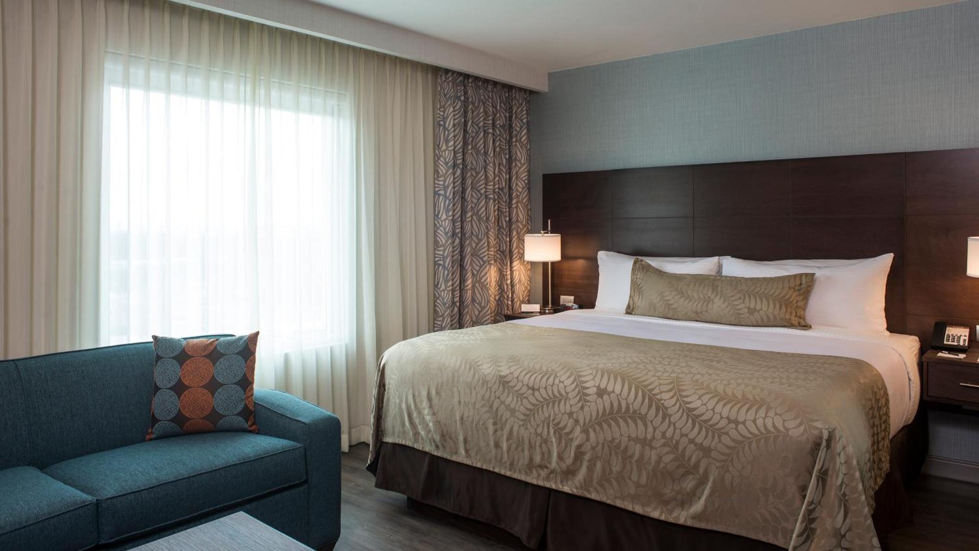 Suite con cama extragrande