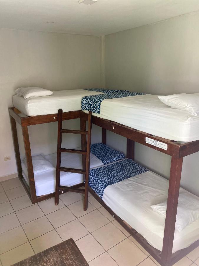 Single Bed 4-Bed Dormitory Room,613129965:JPEG