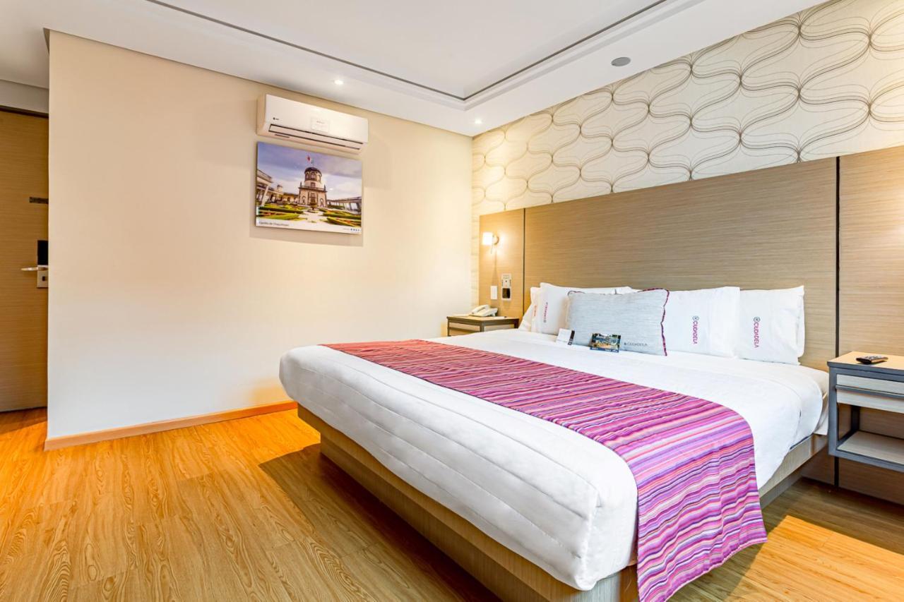 Habitación con cama extragrande.