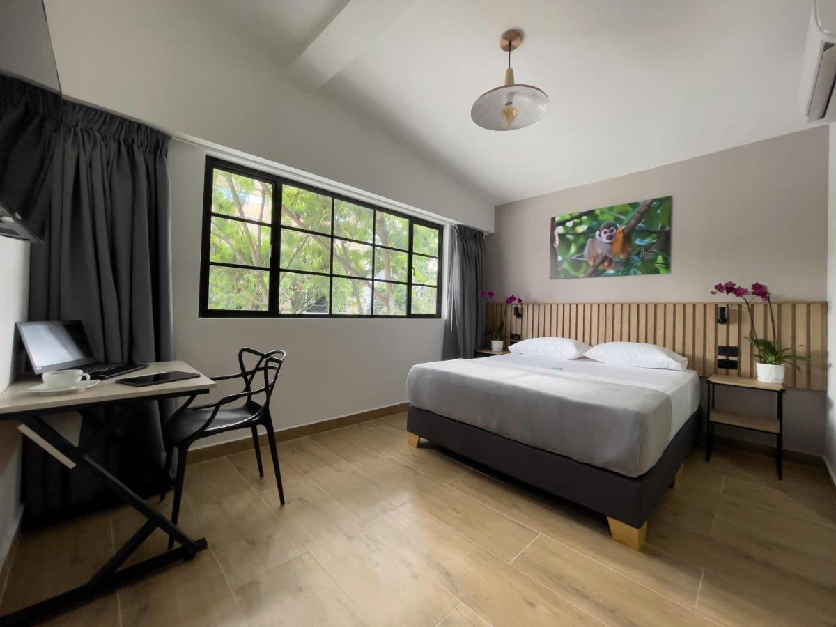 Suite con cama grande