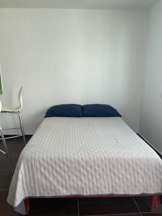 Habitación Estándar - 1 cama grande