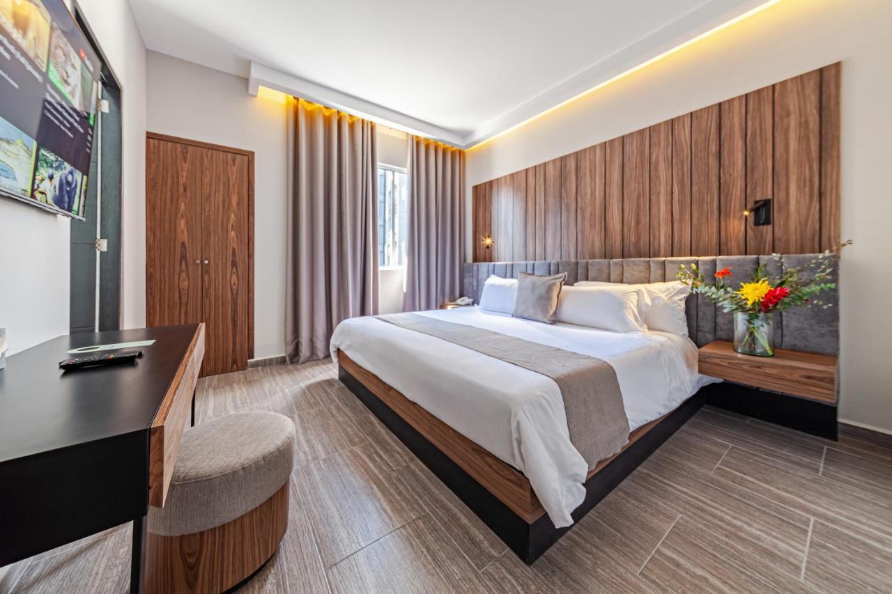 Suite Superior