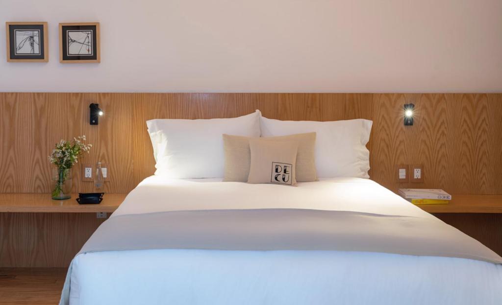 Suite Superior