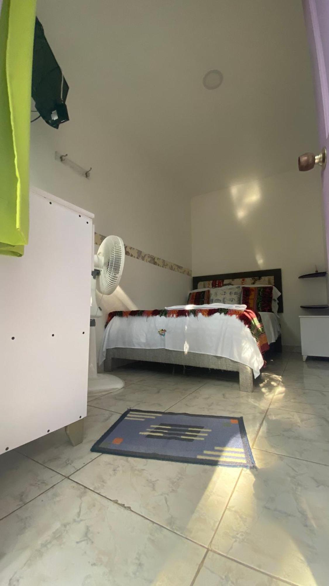 Habitación Individual con vistas al jardín