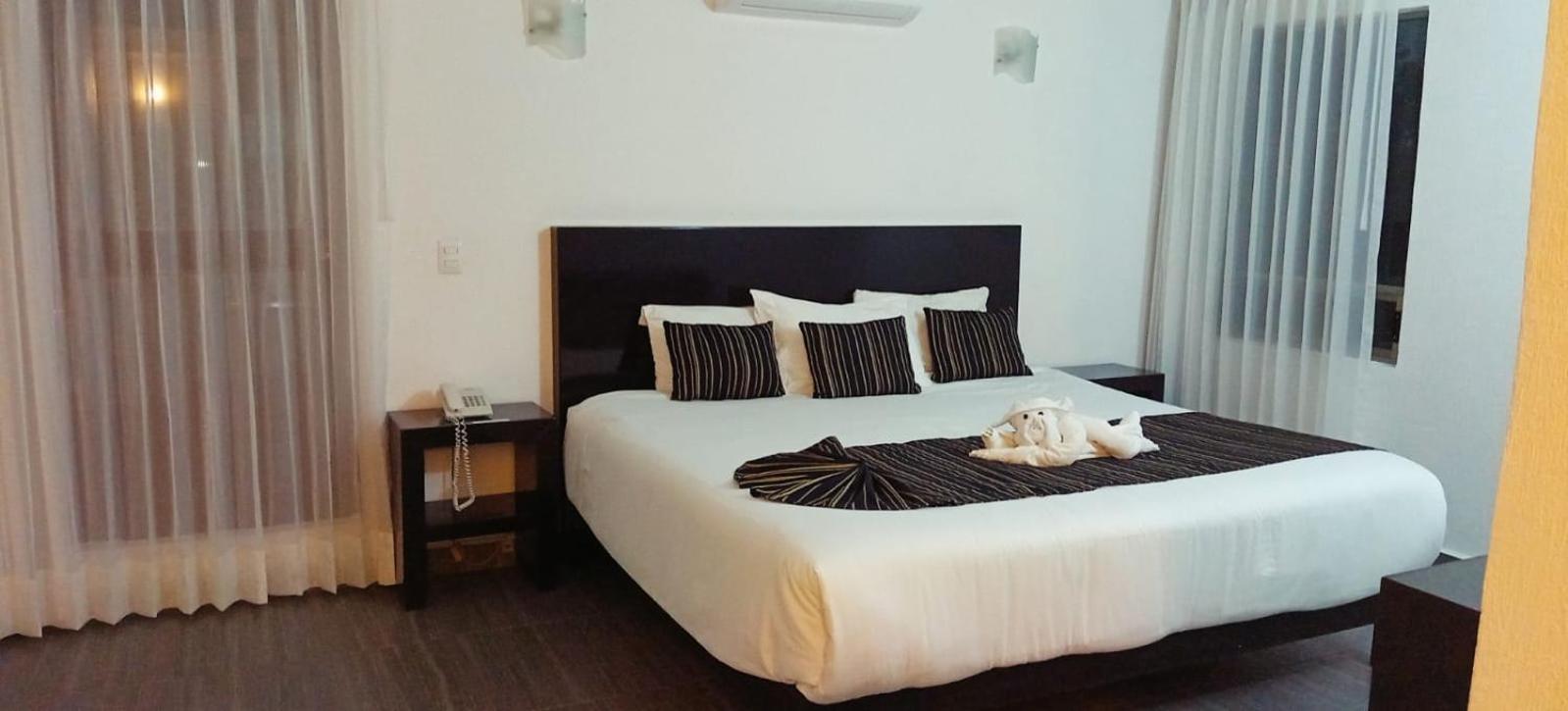 Habitación Individual con vistas al jardín