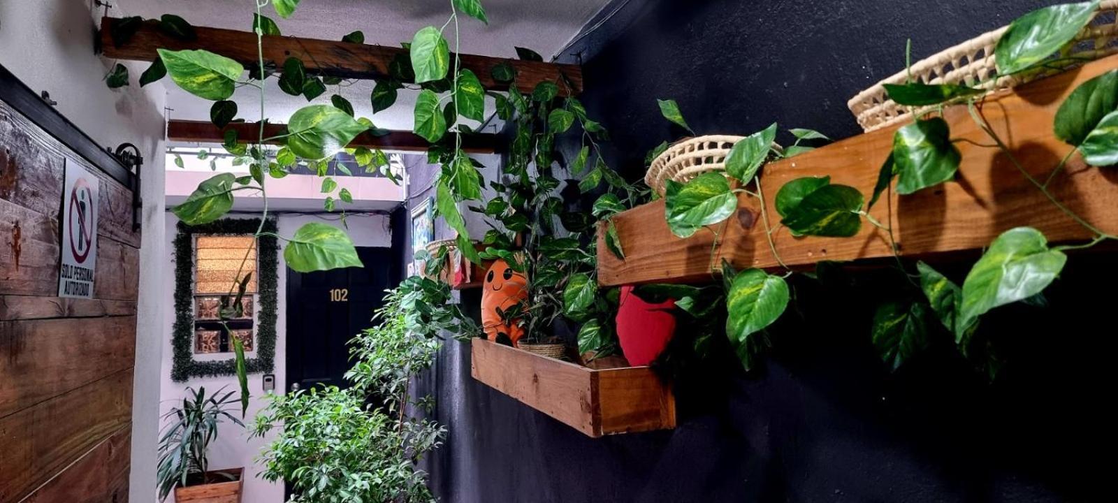 Habitación cuádruple