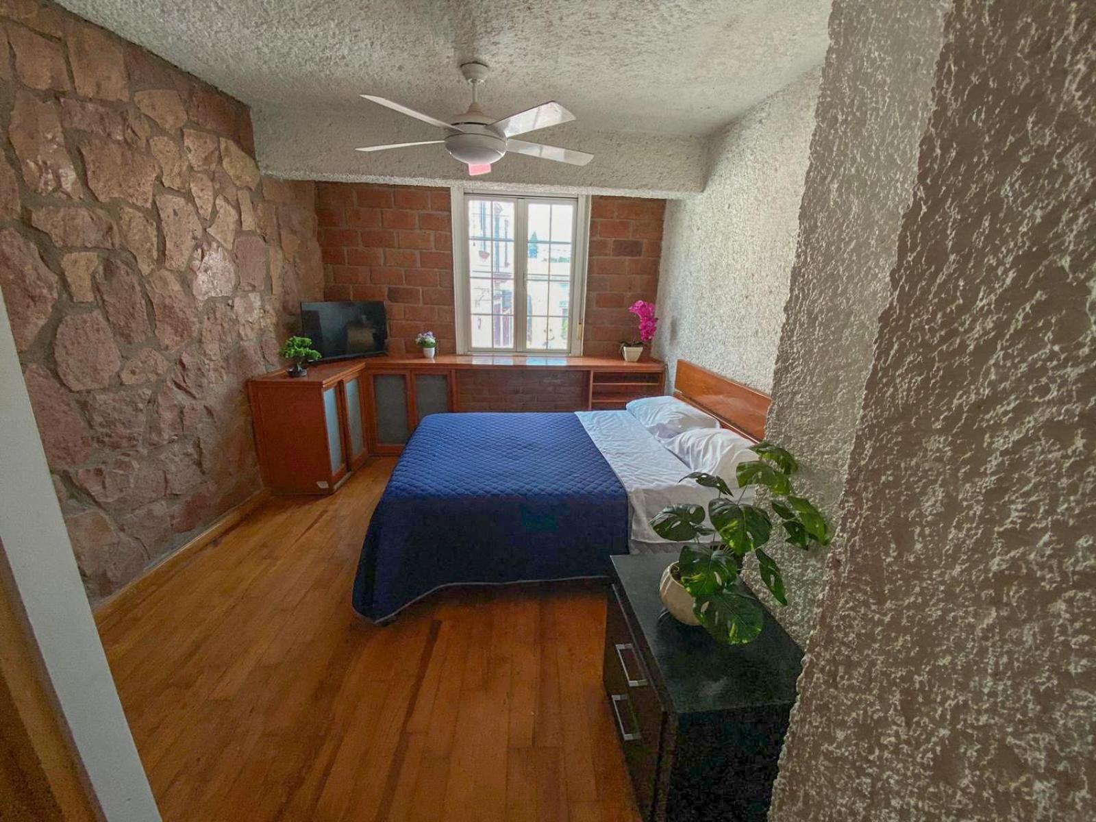 Suite Junior con vistas al jardín