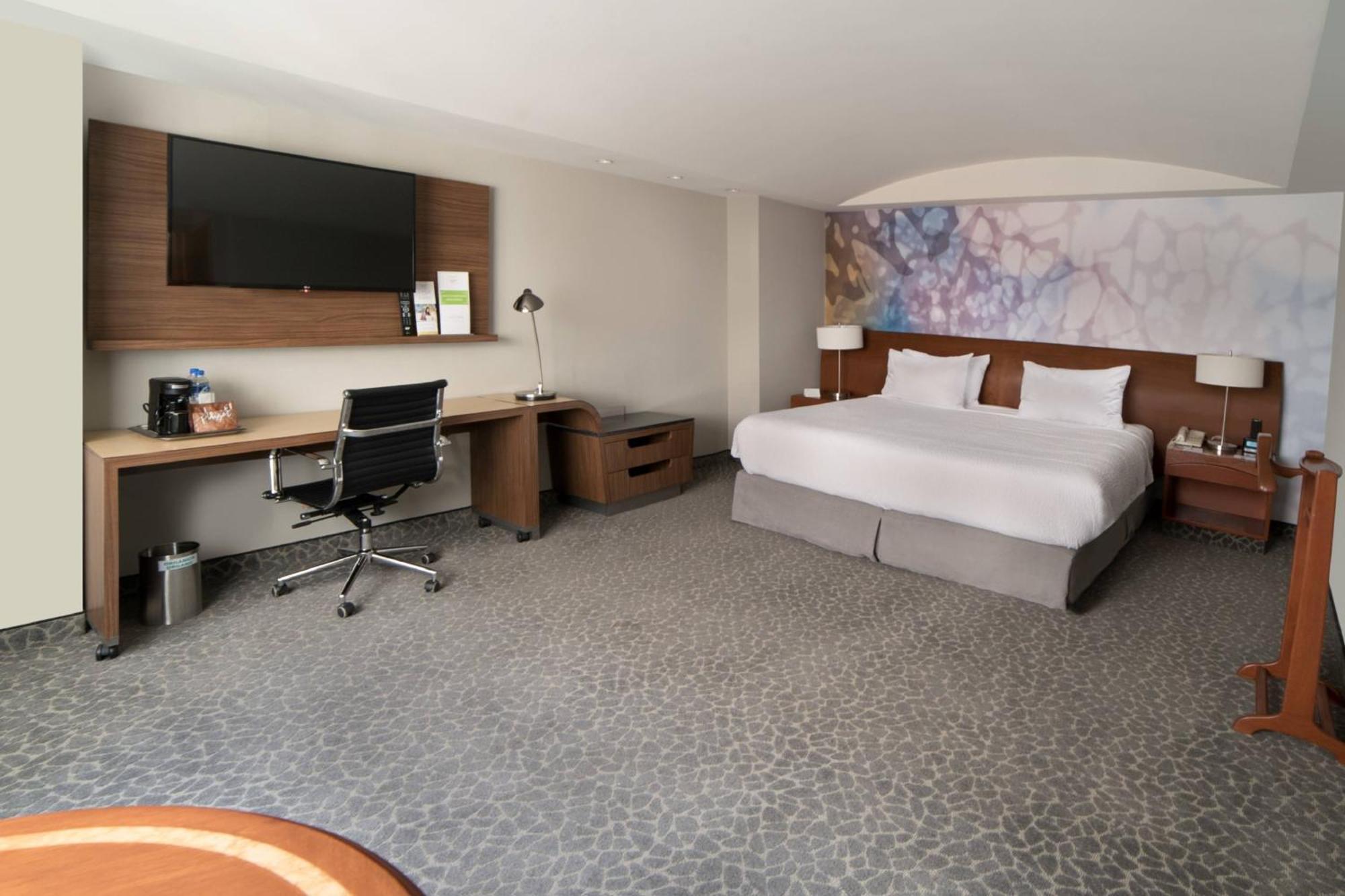 Suite de 1 dormitorio - 1 cama extragrande
