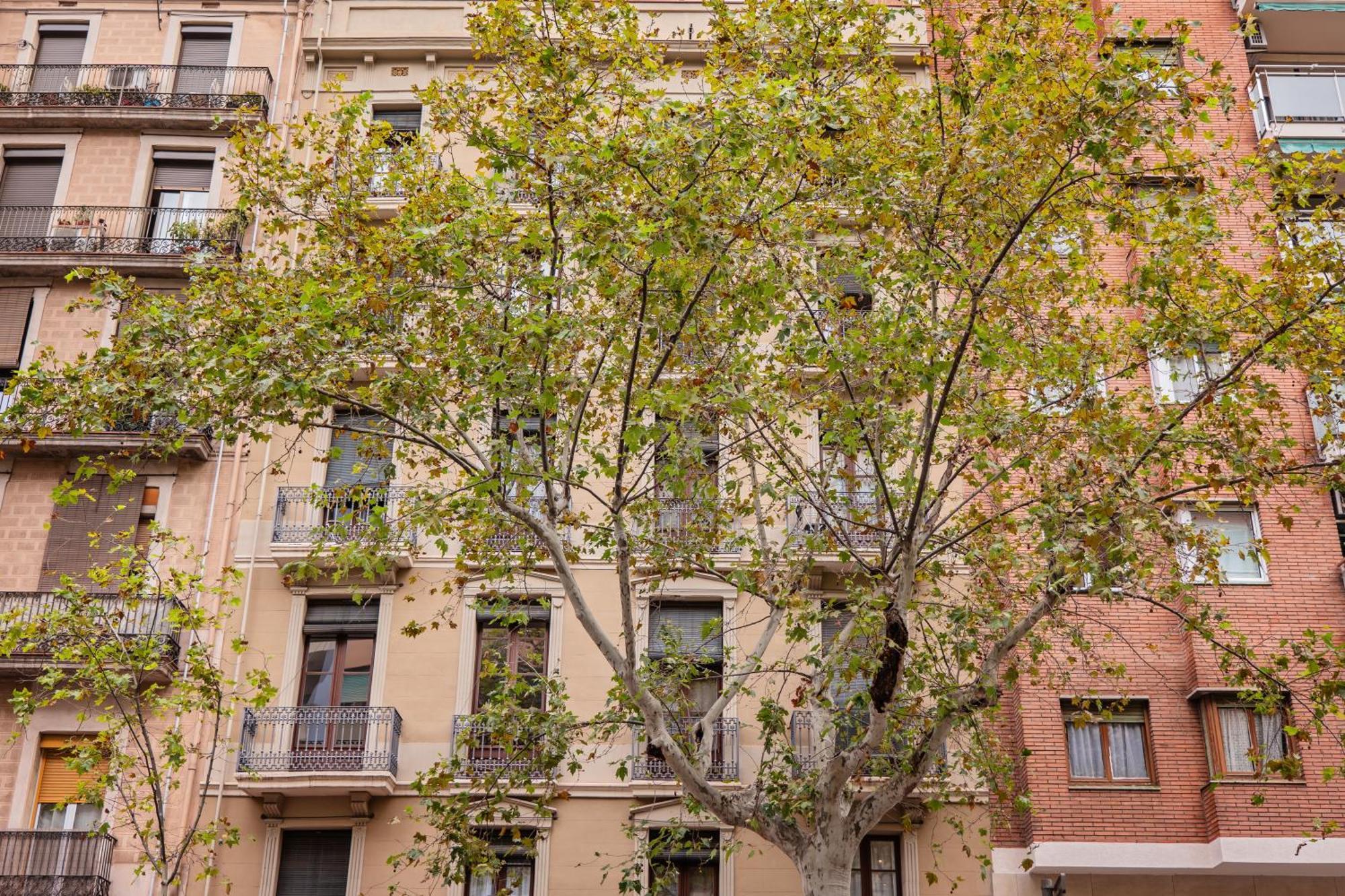 Apartamento de 2 dormitorios