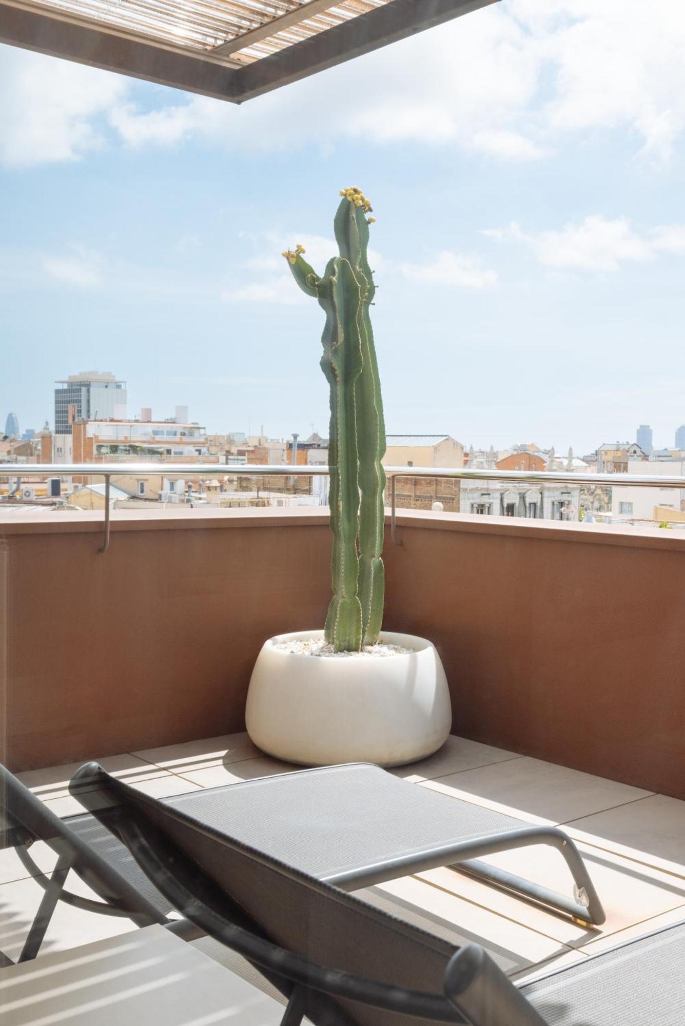 Habitación Doble Privilege con terraza