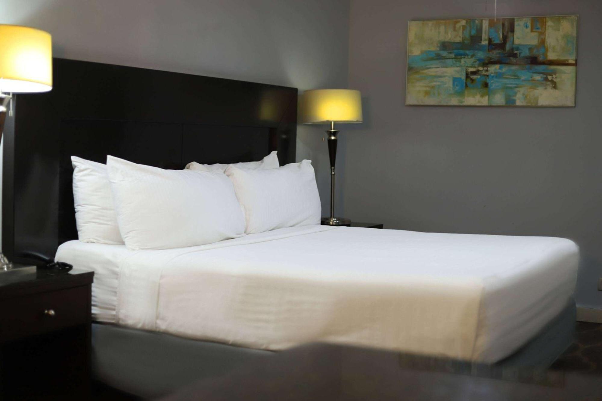 Estudio Deluxe con 1 cama extragrande para no fumadores