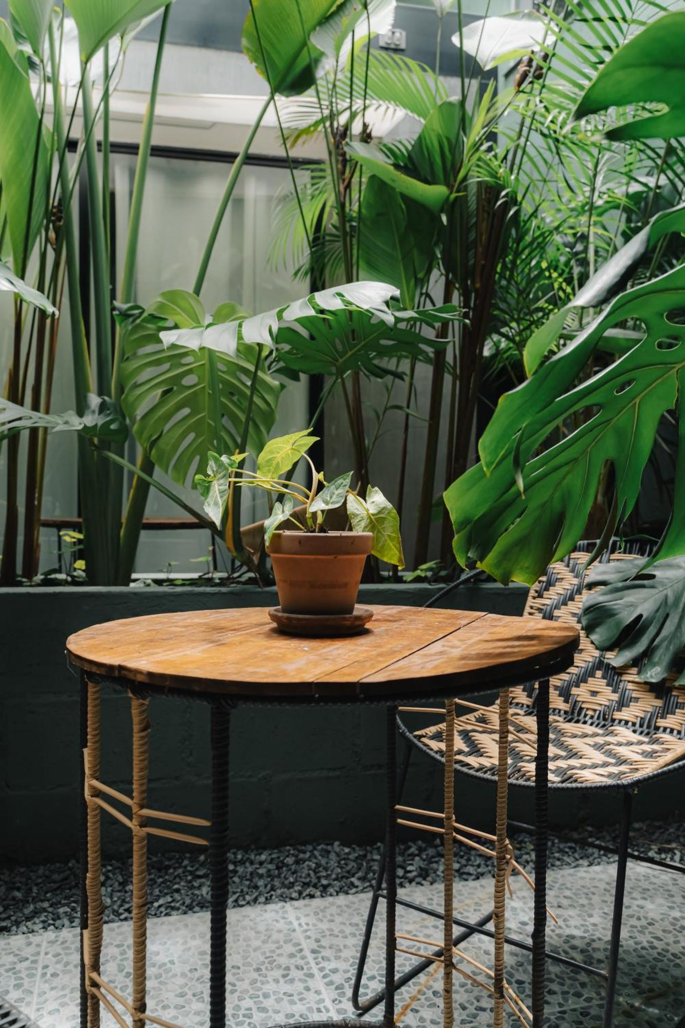 Habitación Estándar - Cama extragrande