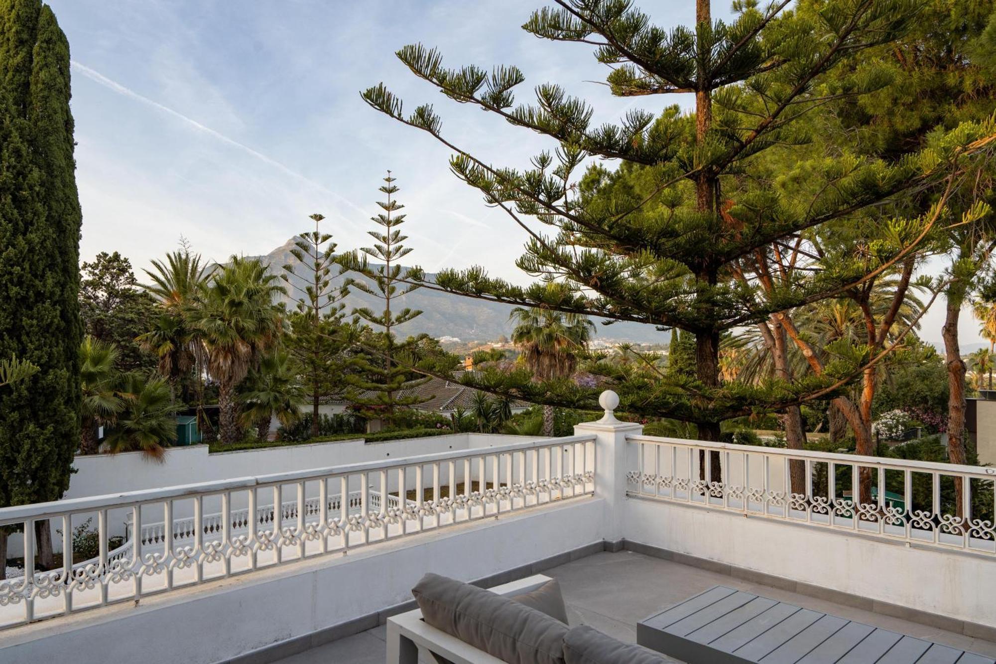 Junior Suite with Terrace,1680185614:JPEG