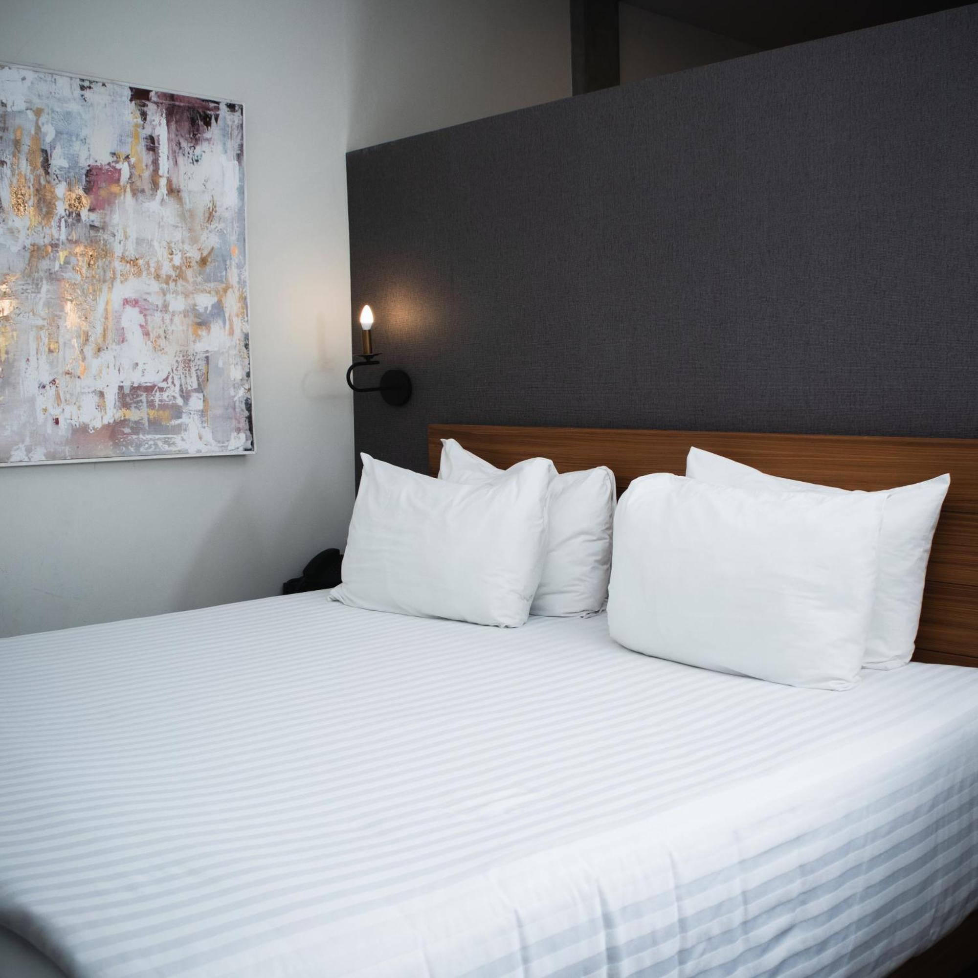 Estudio con cama extragrande y sofá cama