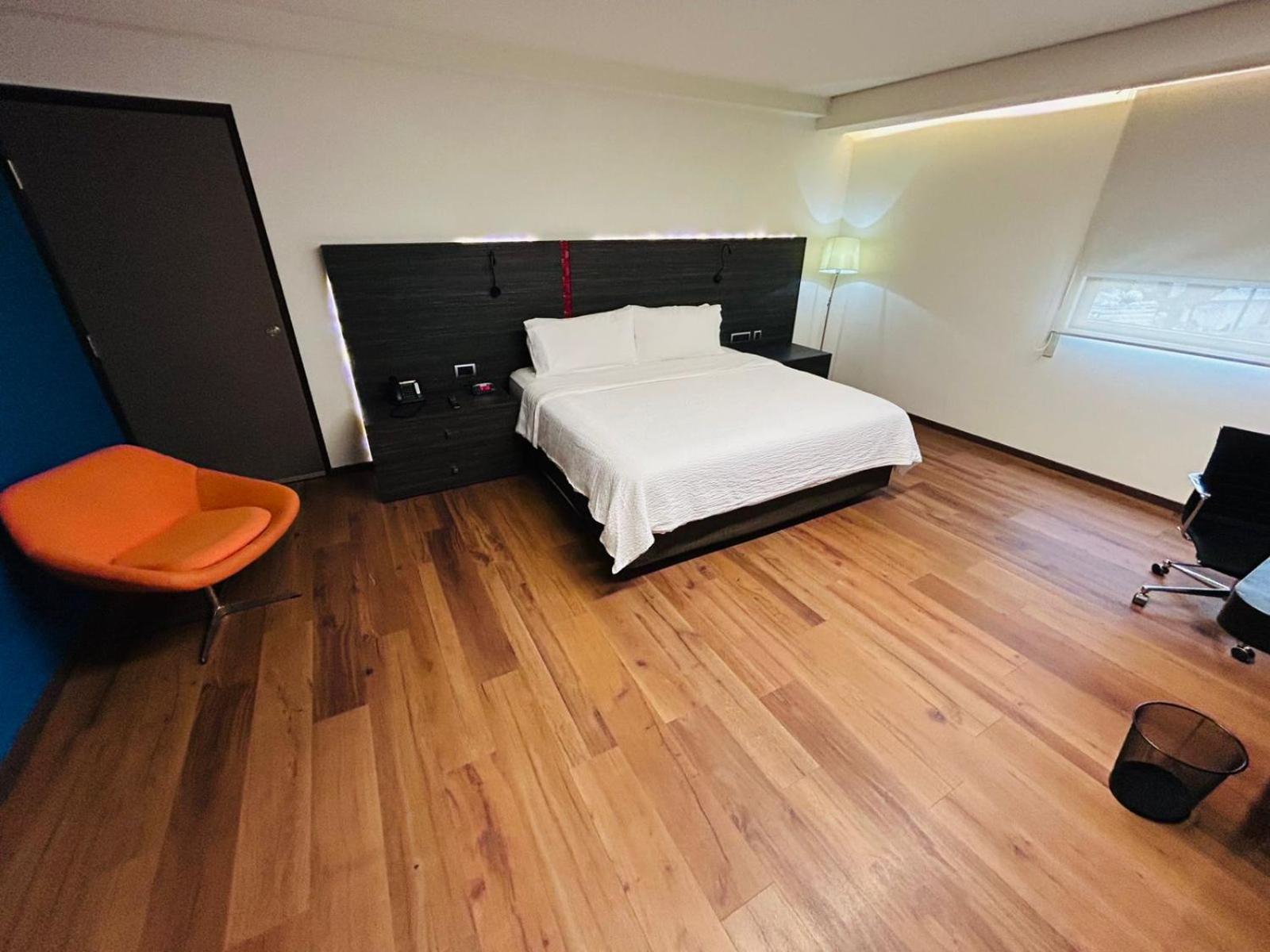 King Suite,1746992410:JPEG