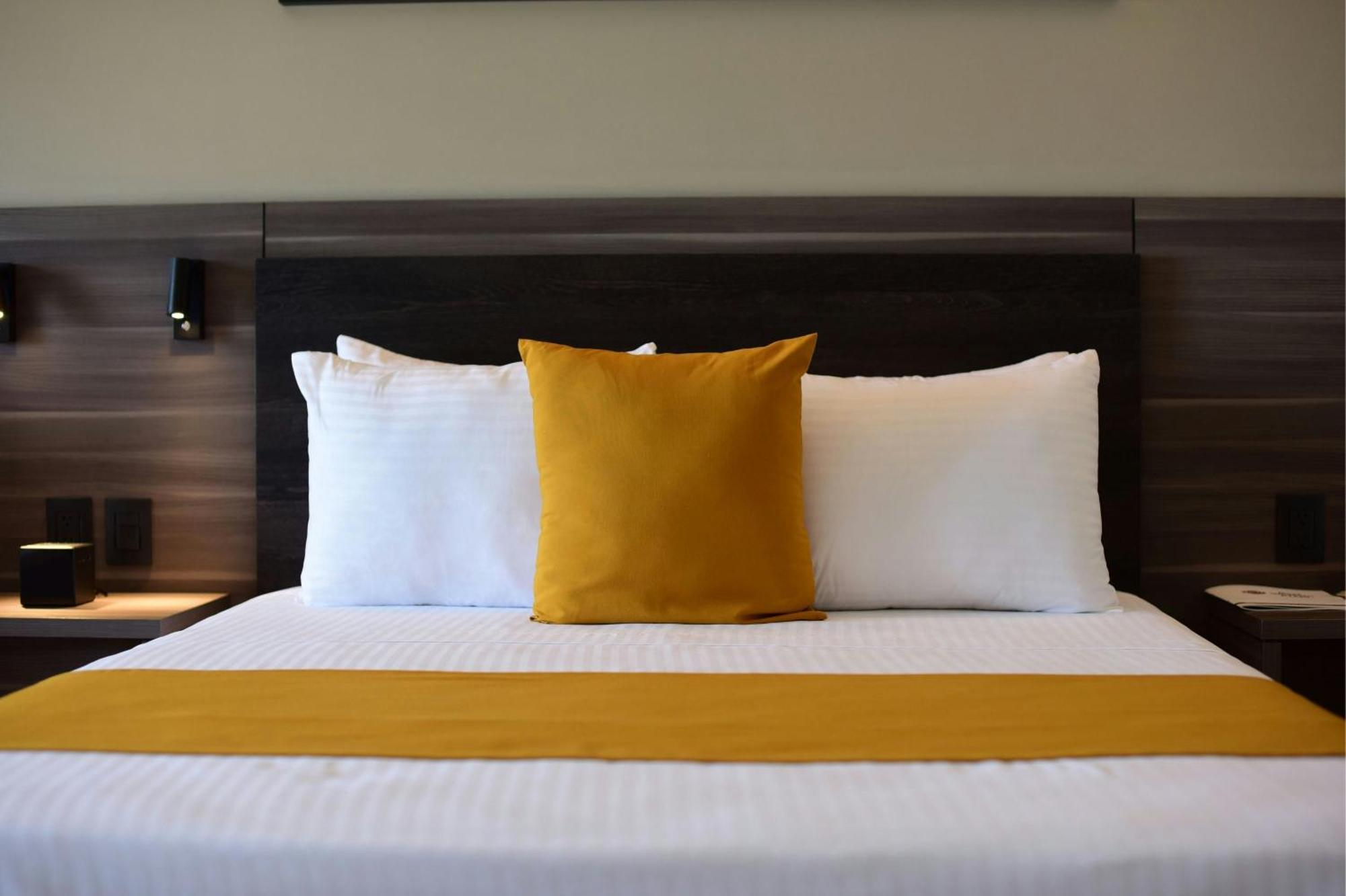 Habitación Estándar con cama extragrande y vistas a la montaña