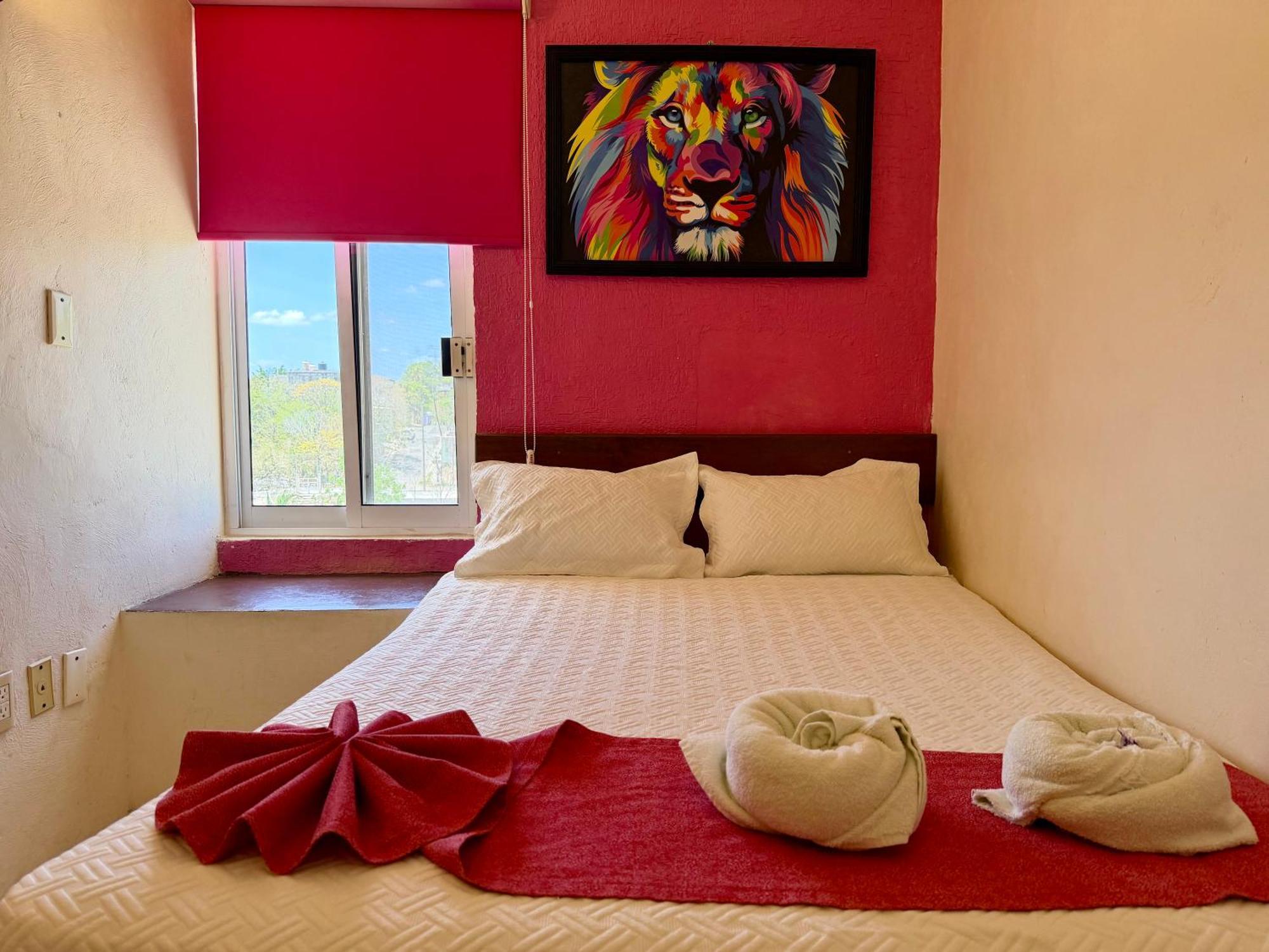 Small Single Room,1770496677:JPEG