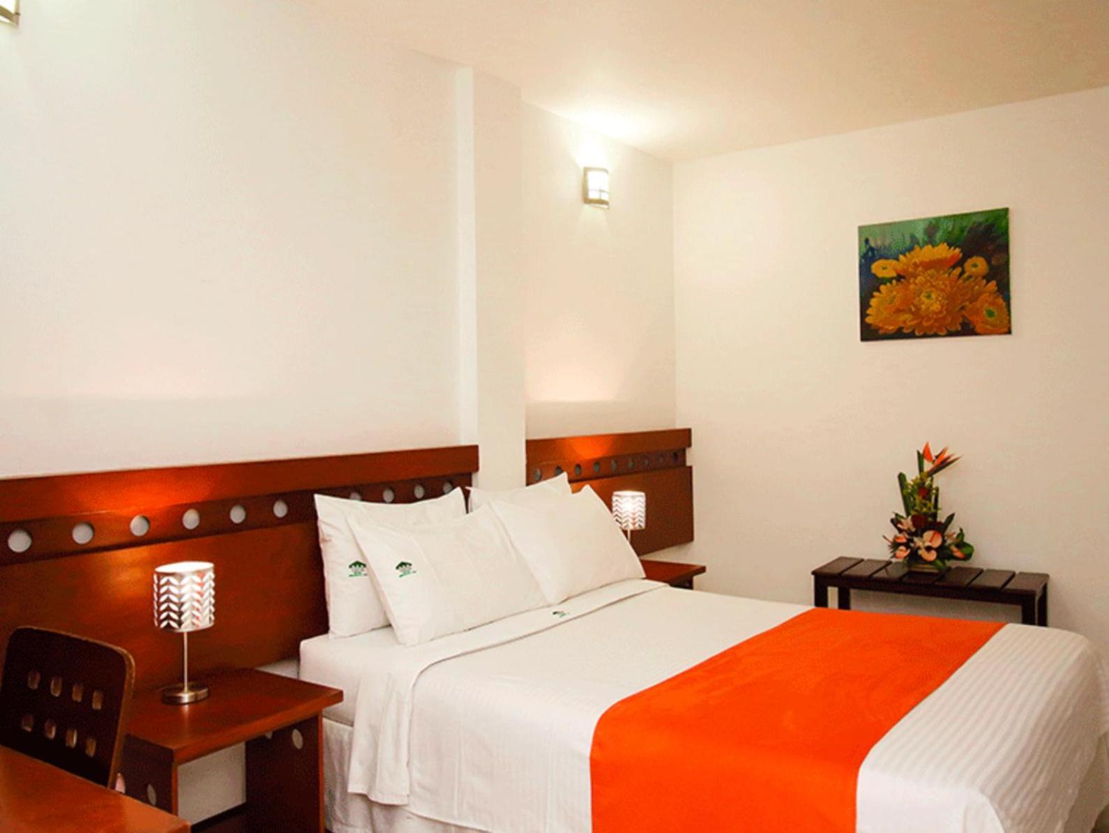 Habitación Individual Clásica
