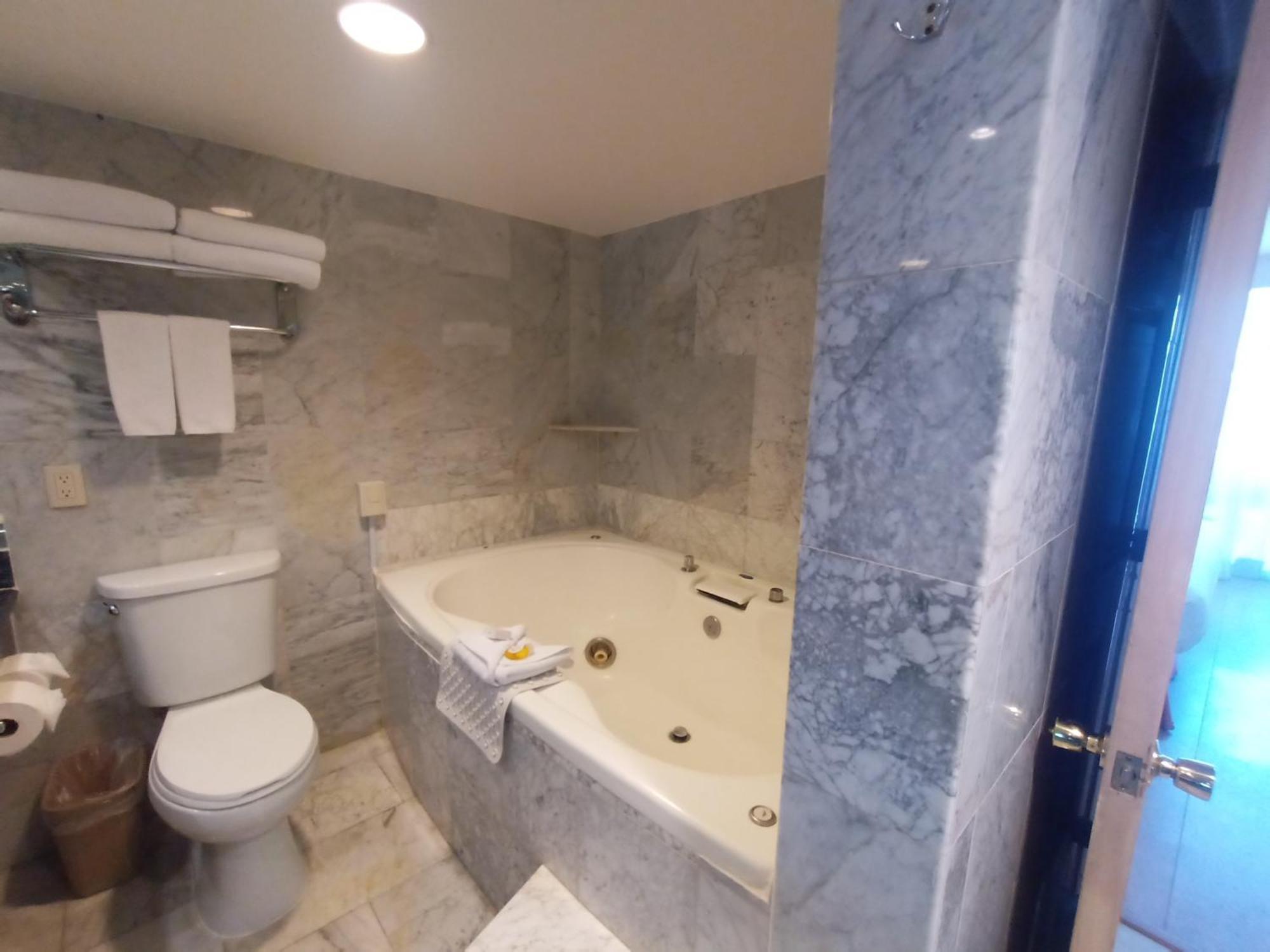 Suite Premium con cama extragrande - no fumadores