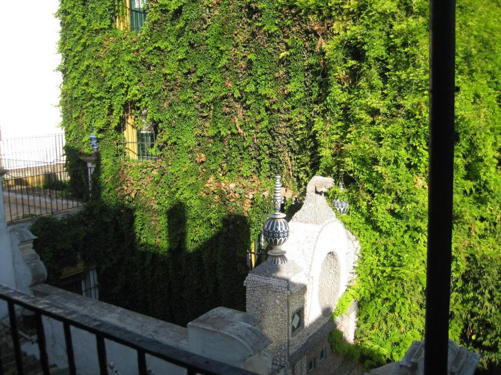 Double or Twin Room with Shared Bathroom,52144070:JPEG