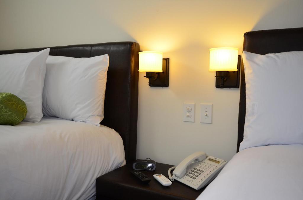 Apartamento Superior de 1 dormitorio