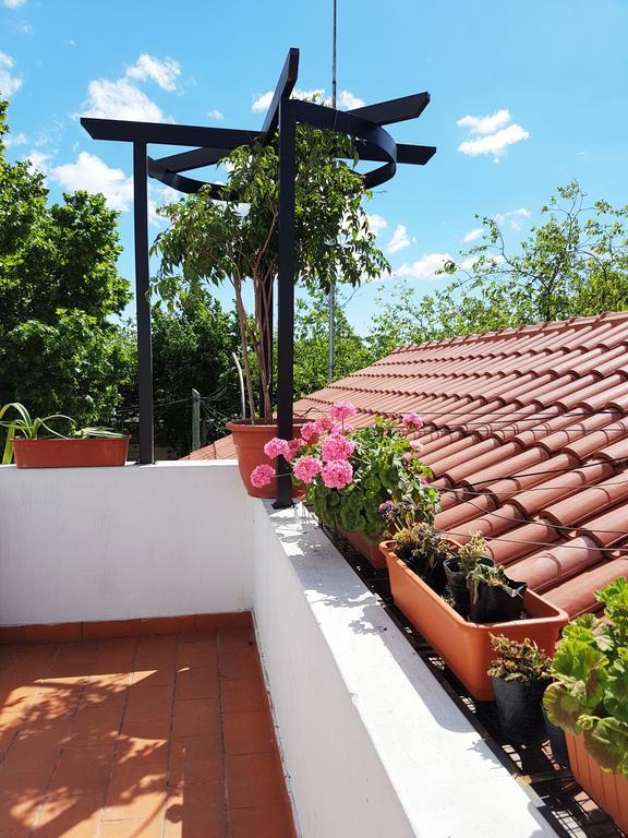 Estudio con terraza
