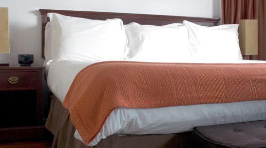 Suite de 1 dormitorio