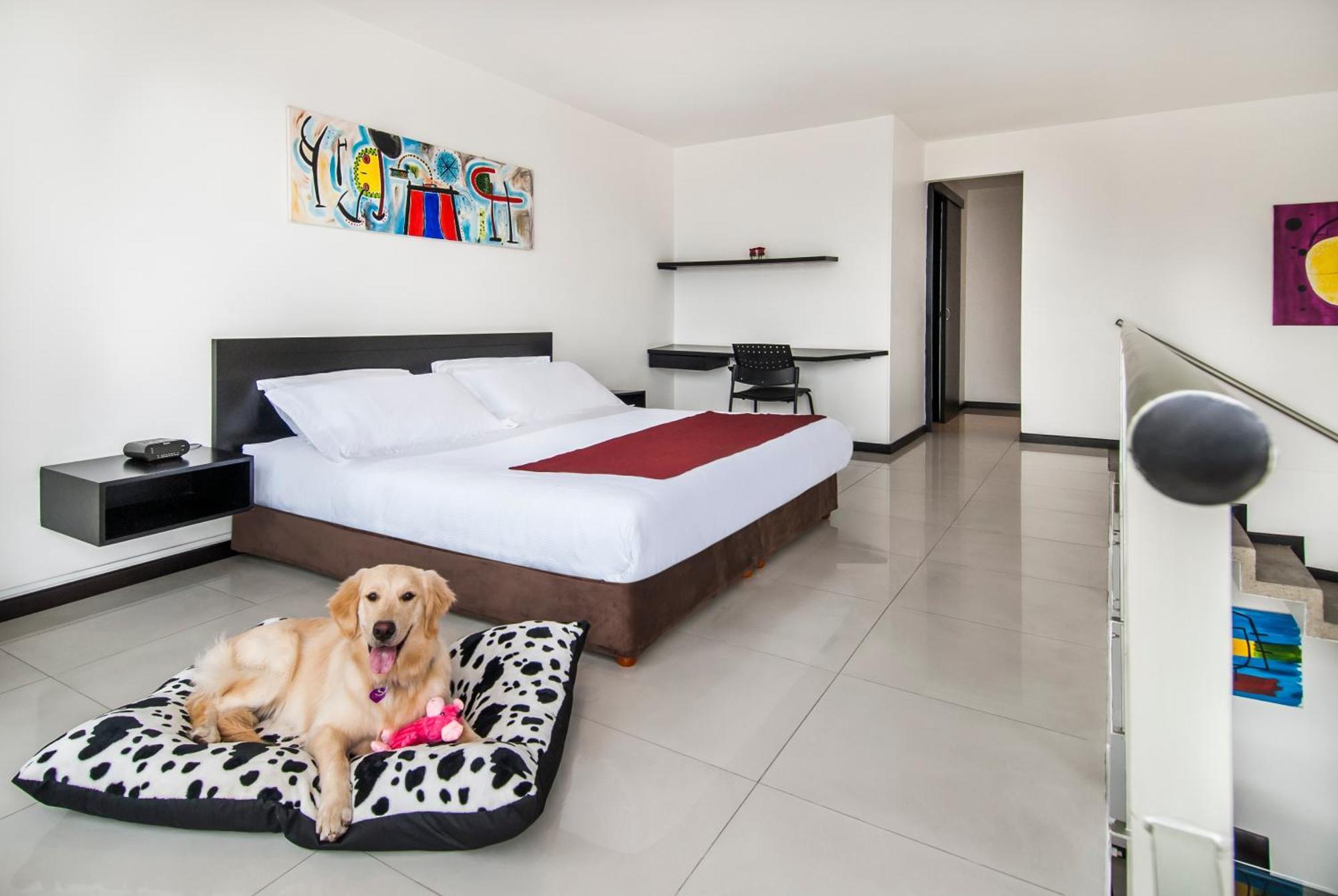 Apartamento Dúplex