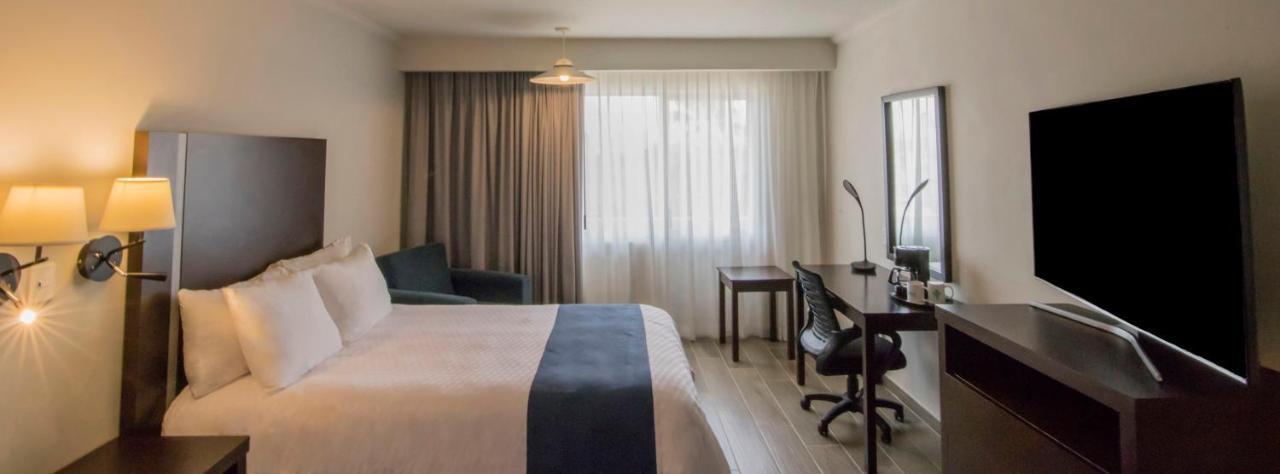 Habitación Superior con cama extragrande