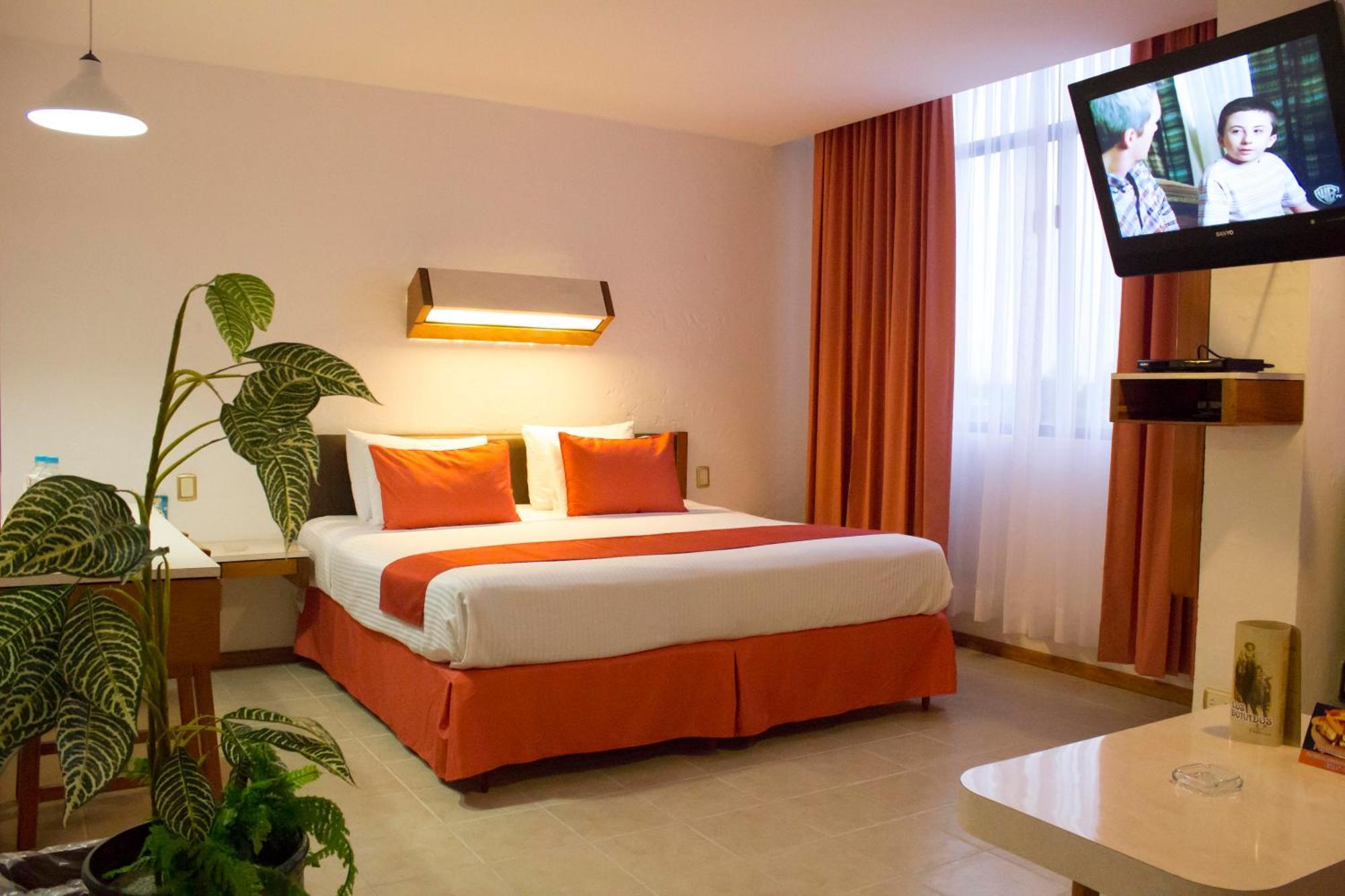 Junior Suite,529639944:JPEG