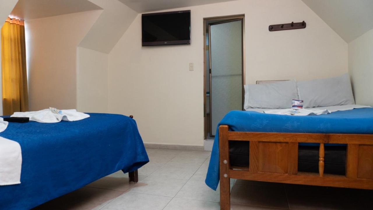 Twin Room,956273683:JPEG