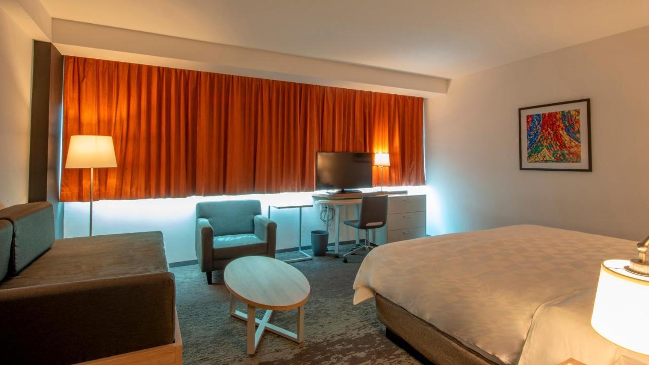 Suite con cama extragrande