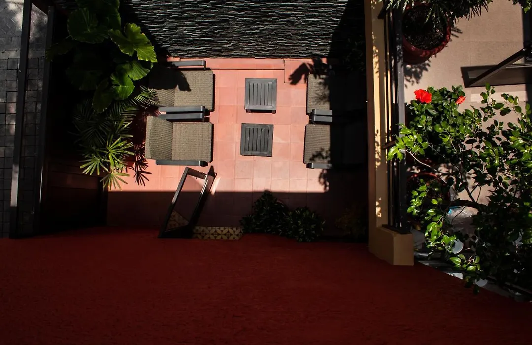 The Red Tree House-1