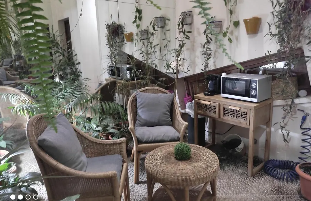 Hostal Puerta Carmona-1