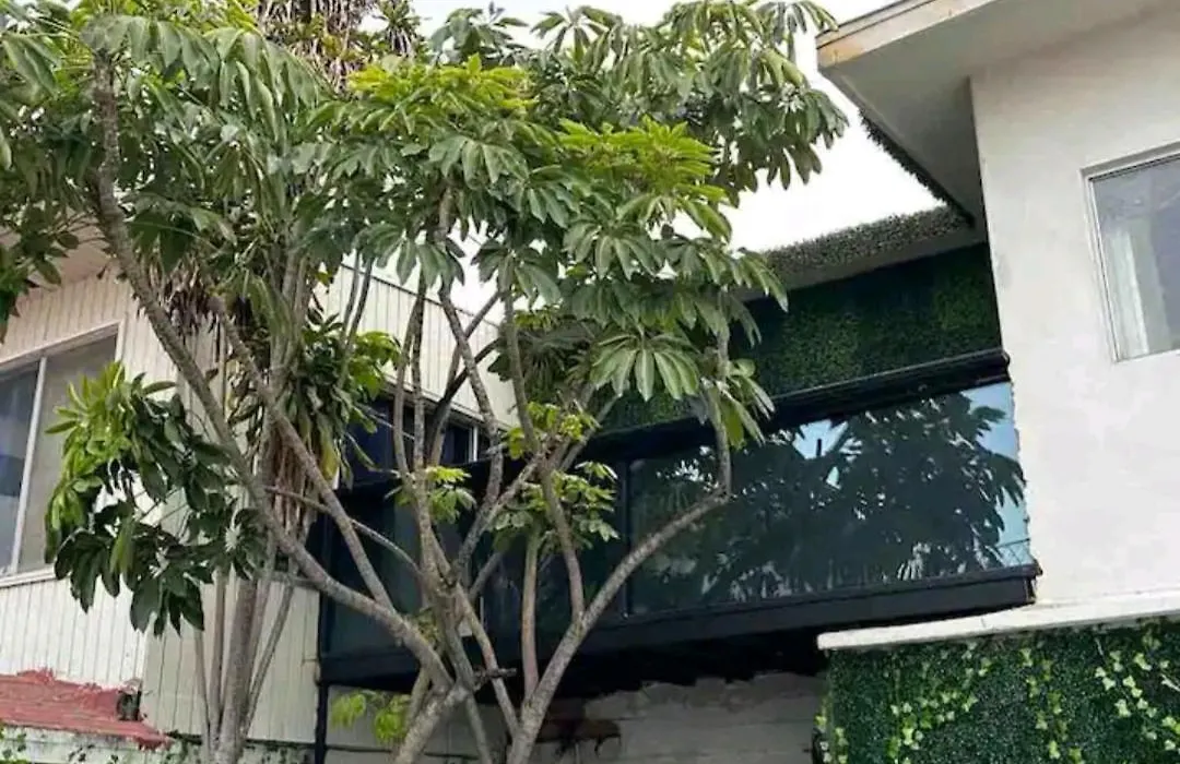 Tree Cabin-1