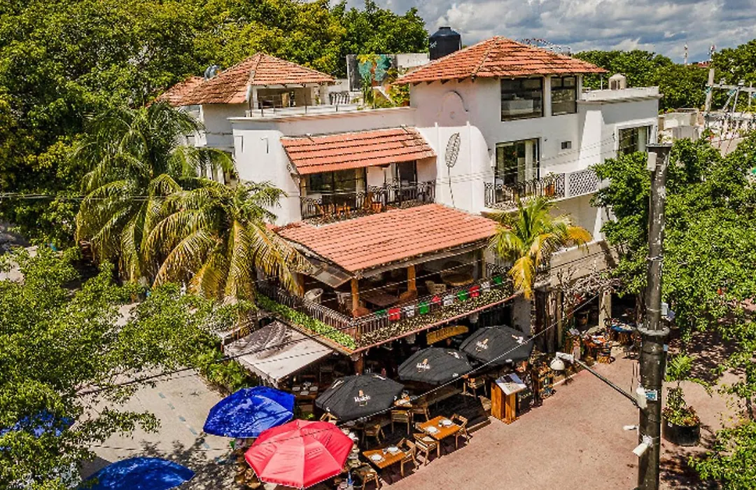 Hotel Banana Boutique & Spa - 5Th Av Playa Del Carmen-1