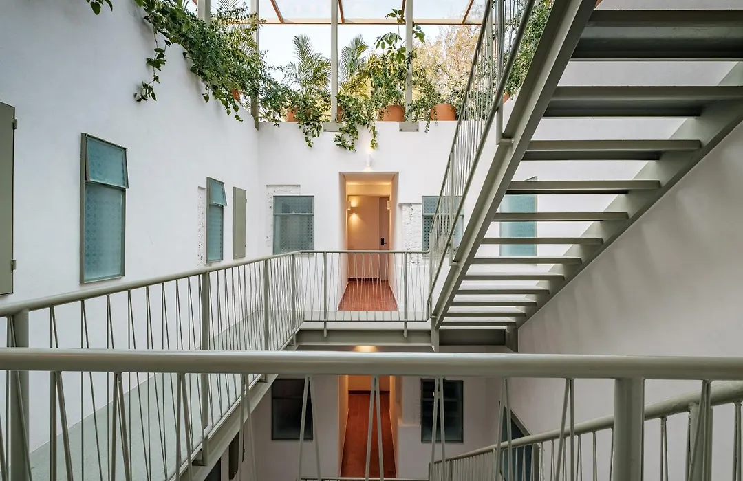 Nido Condesa-1