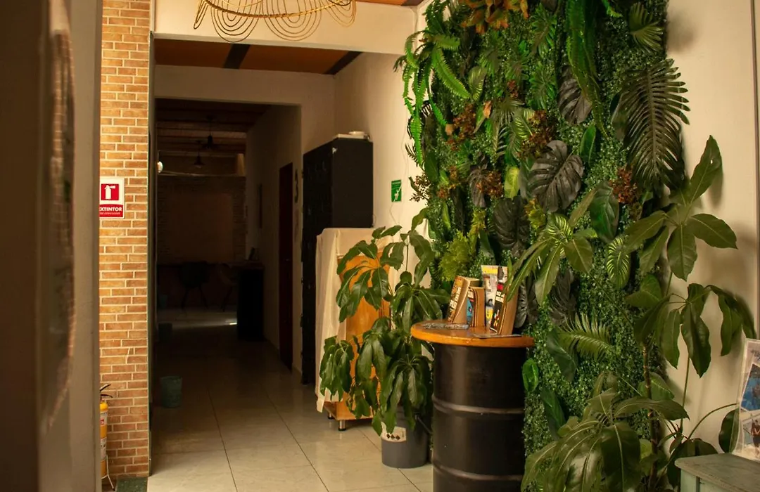 Oasis Hostel Medellin-1