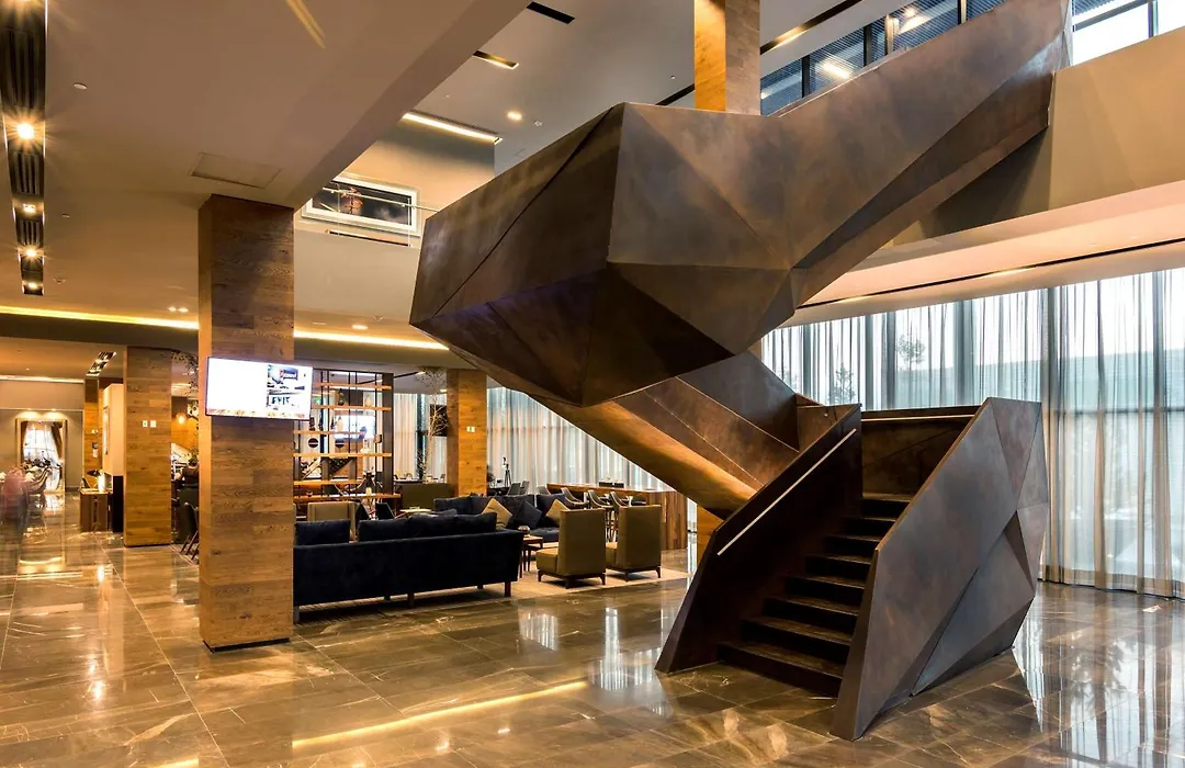 Hilton Garden Inn Aguascalientes-1