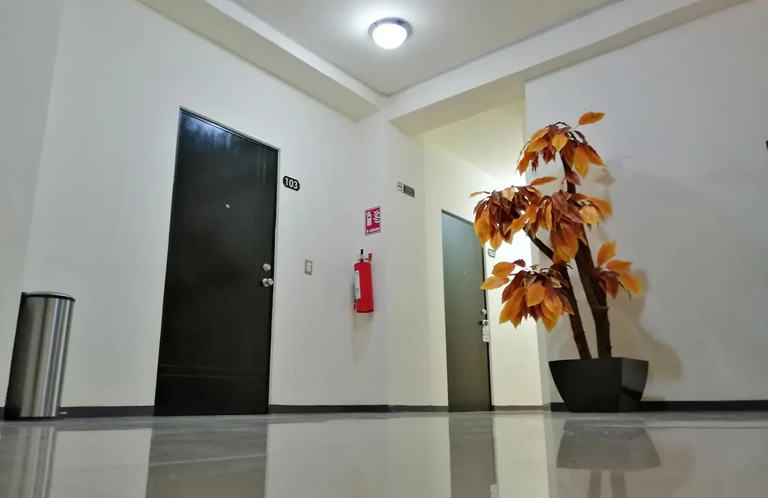 Hotel Real Jaguar-1