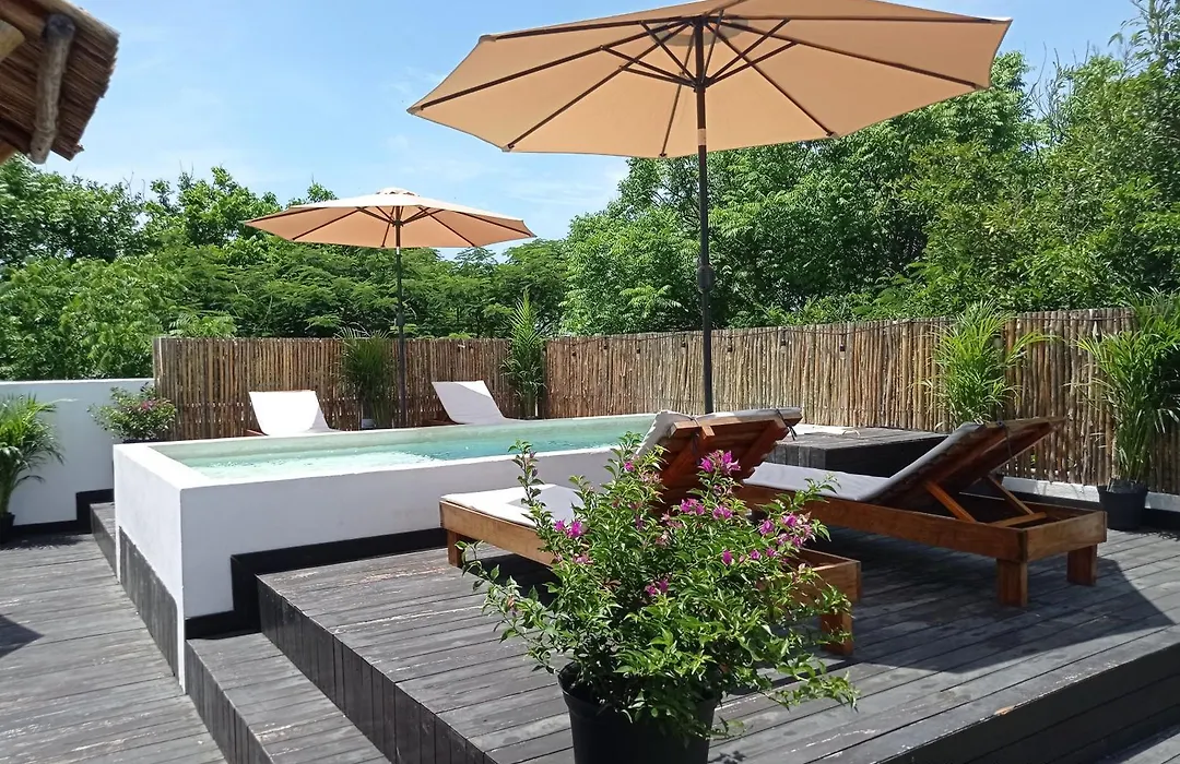 Che Suites Playa (Adults Only)-1