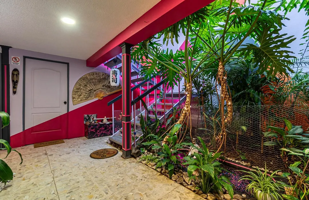 Welcome to... Casa Maguey.-1