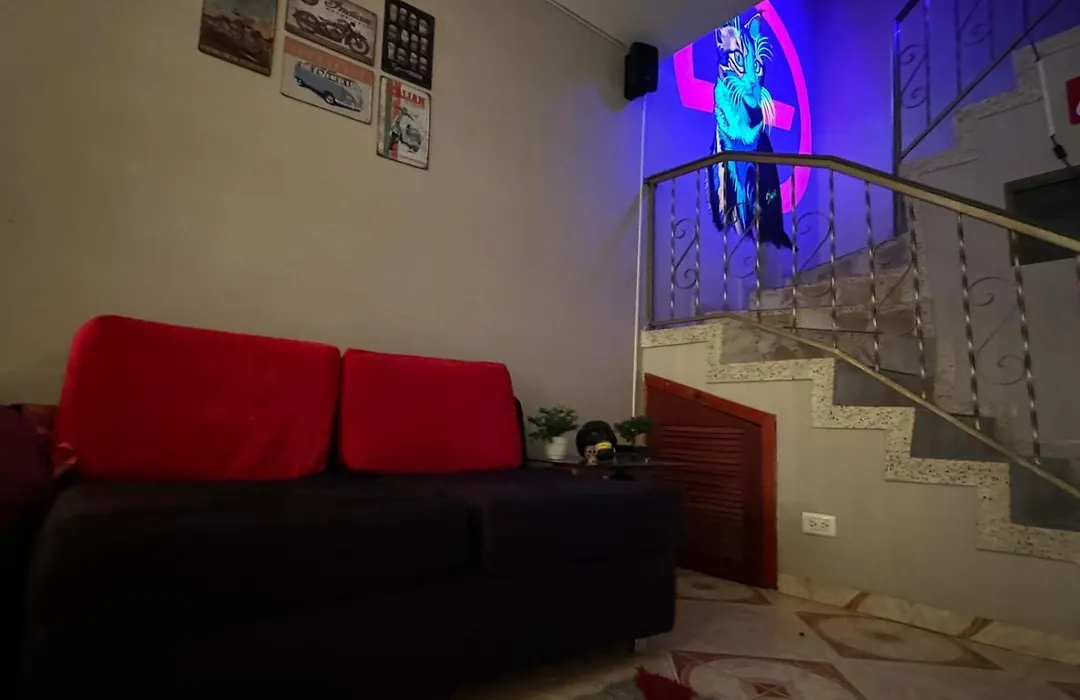 Gato Neon Hostel-1