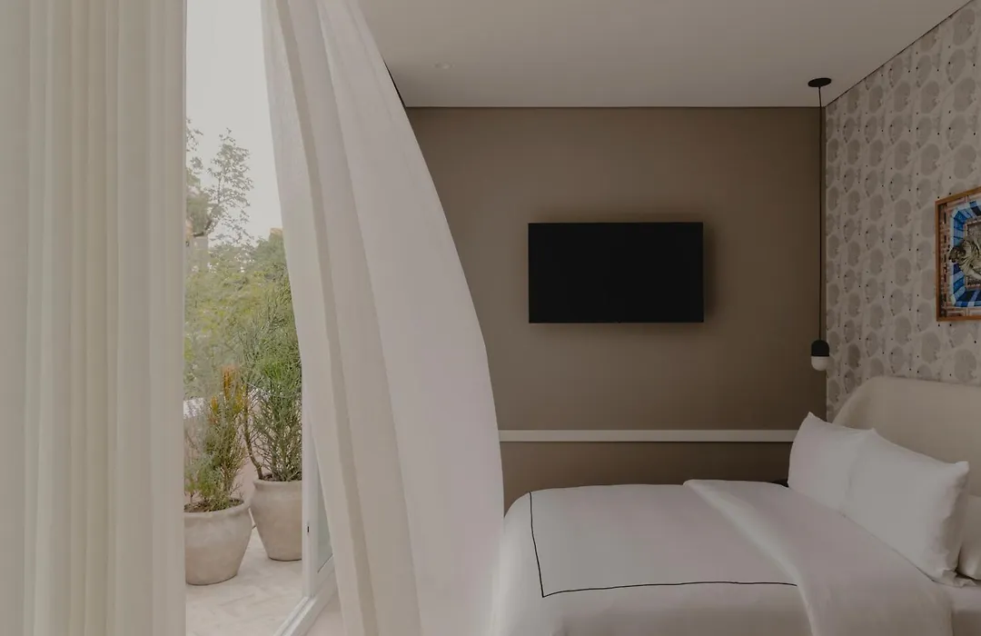 Casona Roma Norte-1