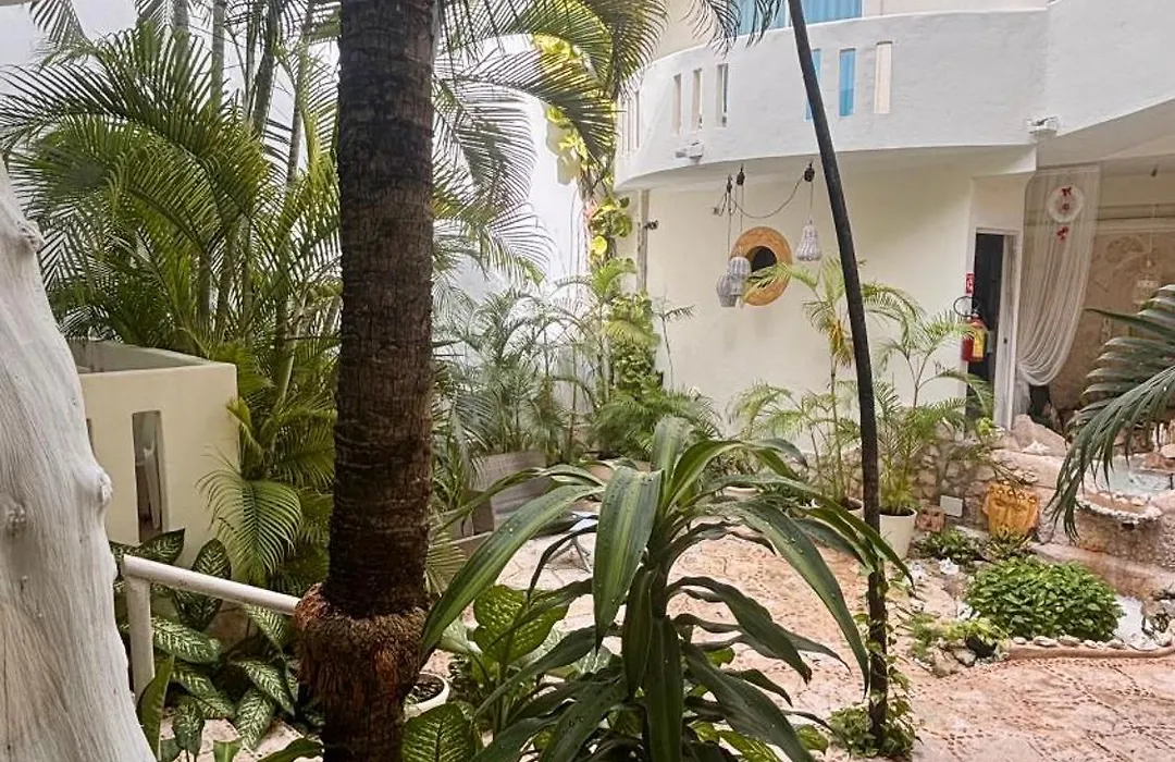 Coco Rio Hotel - Mamitas Beach Area-1