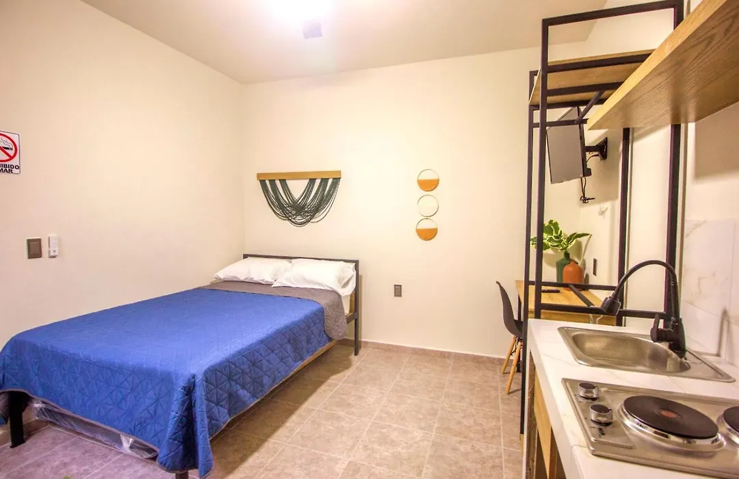 Loft Alatorre-1