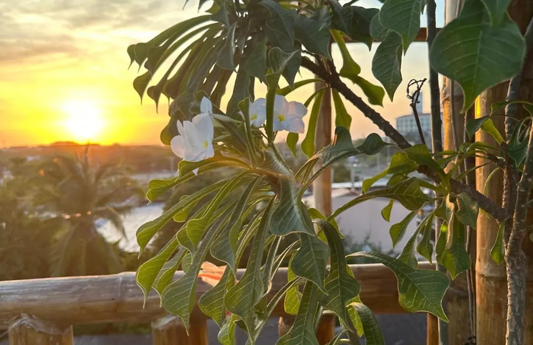 Hostal Bambumar-1