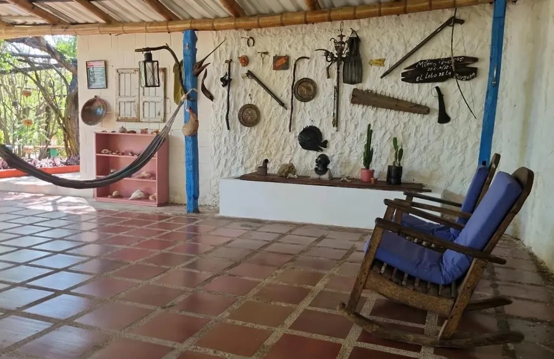 El refugio del tiburón-1